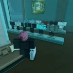 Clothing Store Clothes