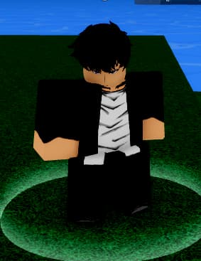 Sung Jin Woo Teacher NPC