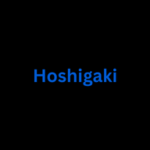 Hoshigaki