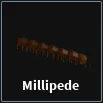 millipede item in dig
