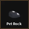 pet rock item in dig