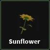sunflower item in dig