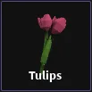 tulips item in dig