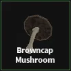 browncap mushroom  item in dig