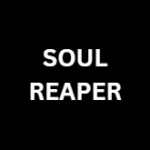 Soul Reaper