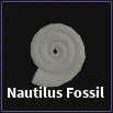 nautilus fossil item in dig