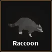 racoon item in dig