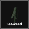 seaweed item in dig