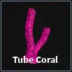 tube coral item in dig
