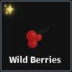 wild berries  item in dig