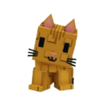 Orange Tabby