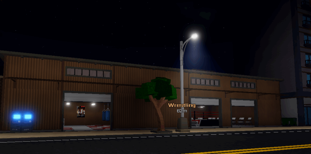 wrestling location