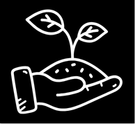 Seeds