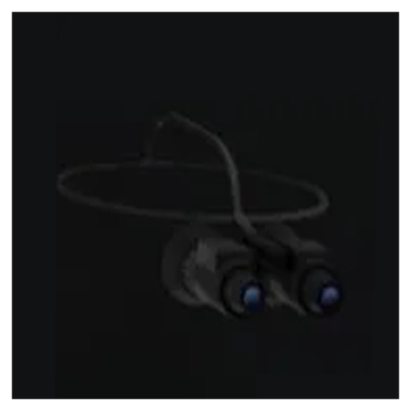 Night Vision Item in FNAF Eternal Nights