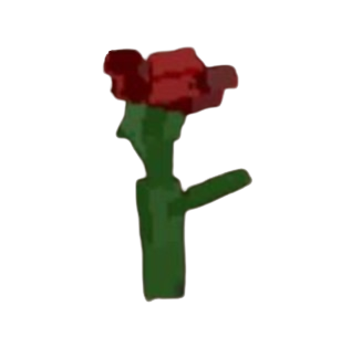 Rose Recipe Grow Anything