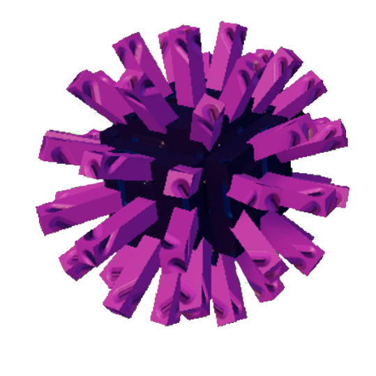Sea Urchin