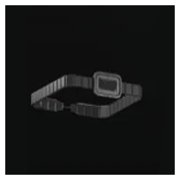 WristWatch
