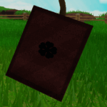 Anti Magic Grimoire
