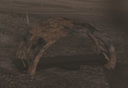 A picture of the Bear Trap Item in The Fields