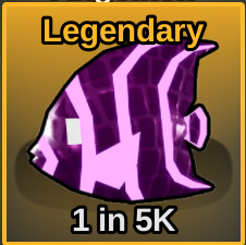 Enchanted Angelfish