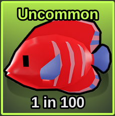 Flame Angelfish
