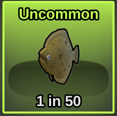 Flat Fish