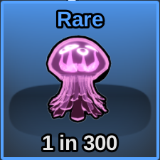 Jellyfish