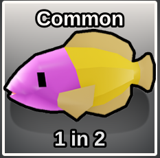 Jennifer Dottyback