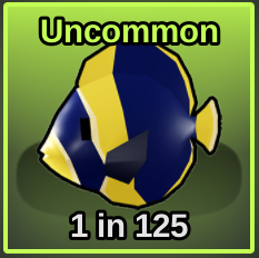 Maze Angelfish
