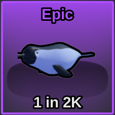 Narwhal