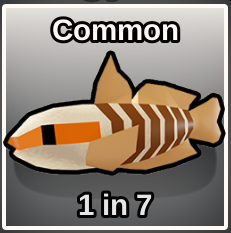Orangy Goby