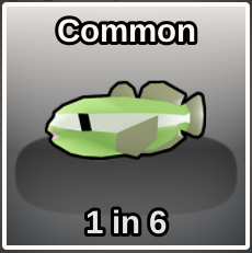Pygmy Goby