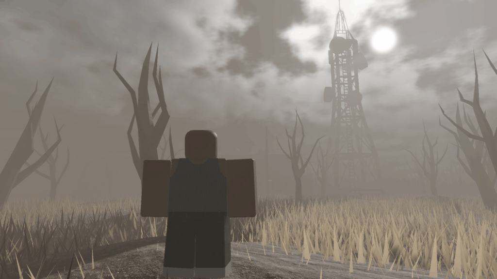 Radio Station Location in the Fields