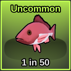Red Snapper