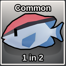 Reef Chromis