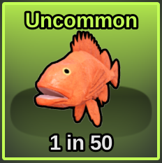 Rockfish