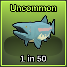 Salmon