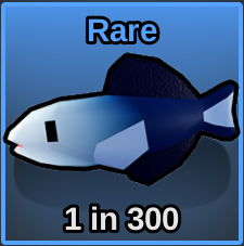 Scissortail Dartfish (Tropical)