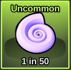 Sea Shell