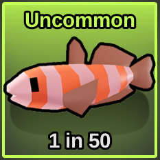 Shrimp Goby