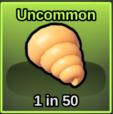 Conch Shell