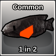 Volcanic Basslet