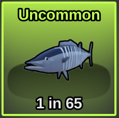 Wahoo