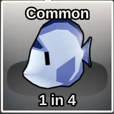 Watanabei Angelfish
