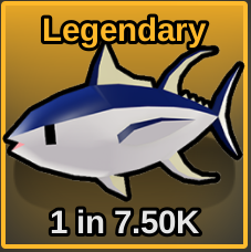 Yellowfin Tuna