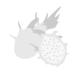 Dragonfruit