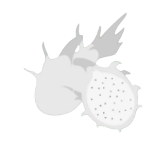 Dragonfruit