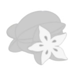 Starfruit