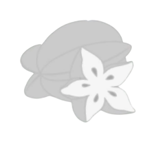 Starfruit