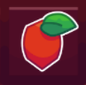 Tomato Seed in Garden Horizons on Roblox